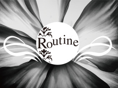 高知県高知市｜ラウンジ・クラブ｜Routine