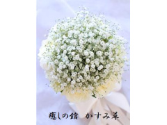 癒しの館「かすみ草」